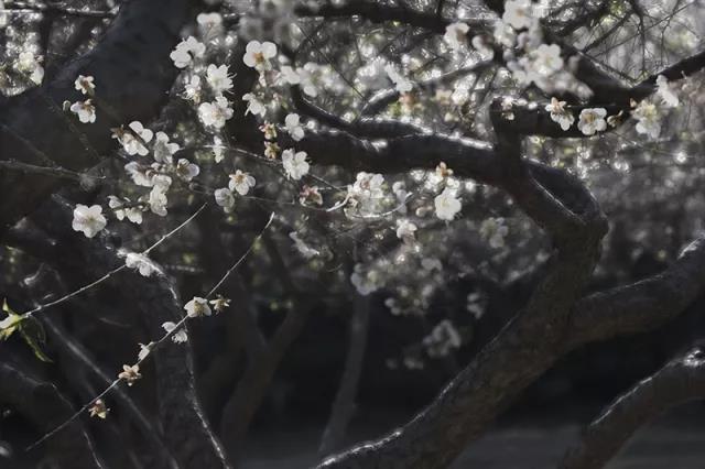 微信圖片_20180314150218.jpg 微信圖片_20180314150218.jpg