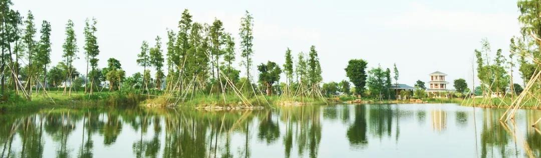 25.jpg 25.jpg