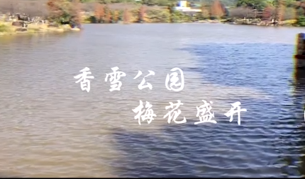 13.png 13.png