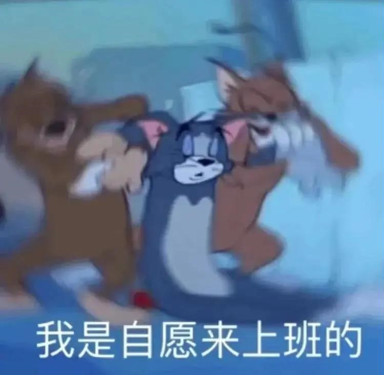 1.jpg 1.jpg