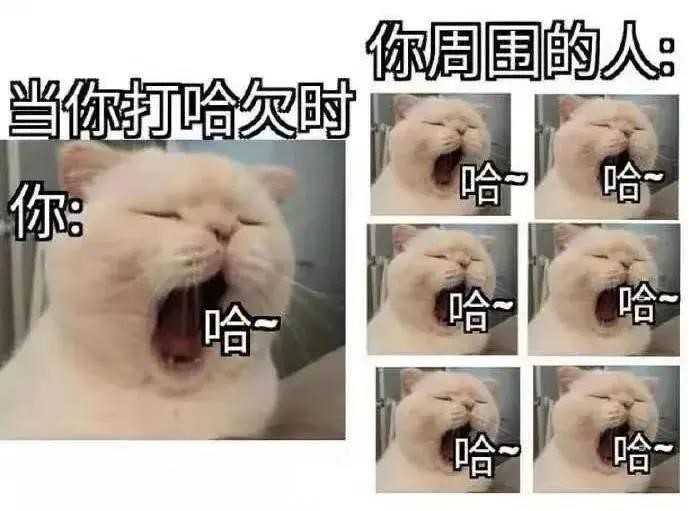 2.jpg 2.jpg