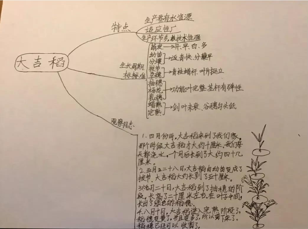 20.jpg 20.jpg
