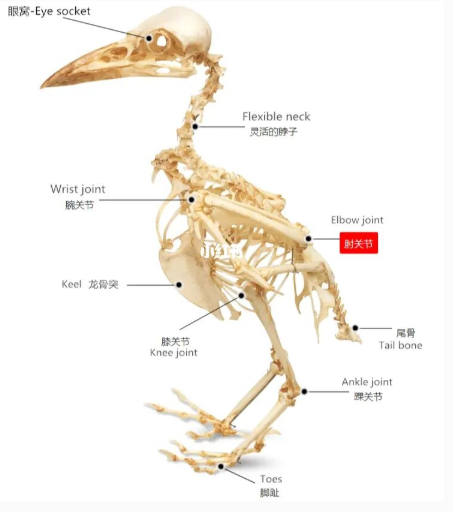 21.png 21.png