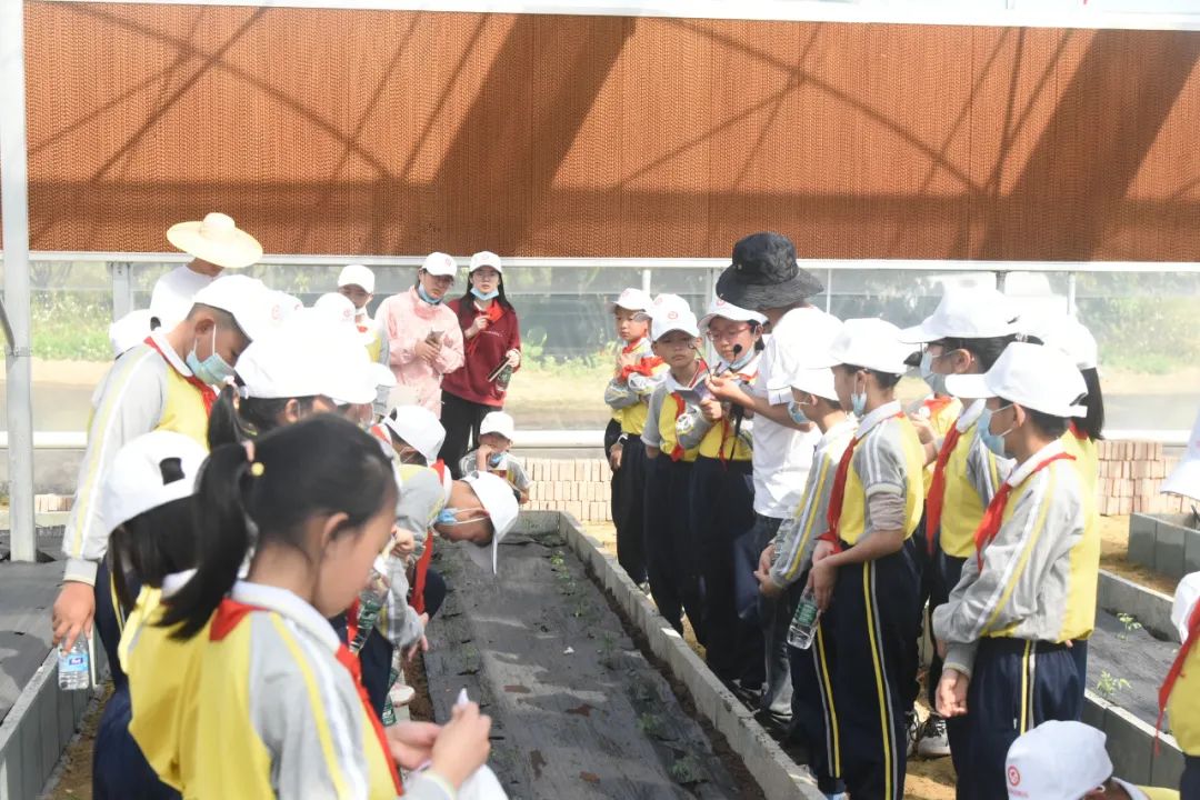 8.jpg 8.jpg