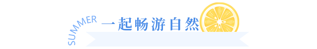 3.png 3.png