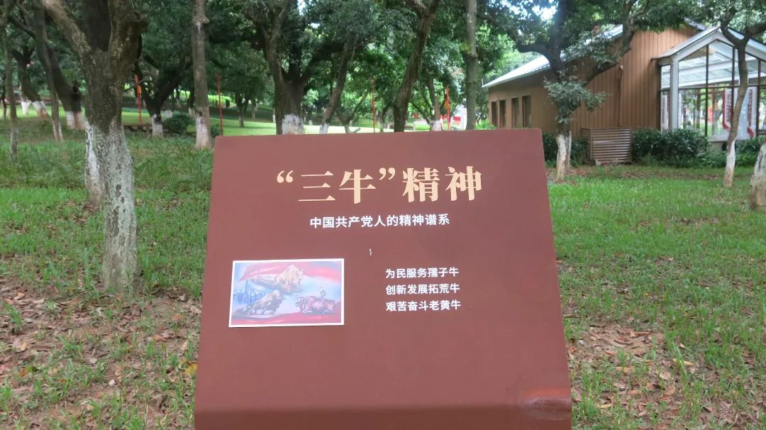 6.jpg 6.jpg