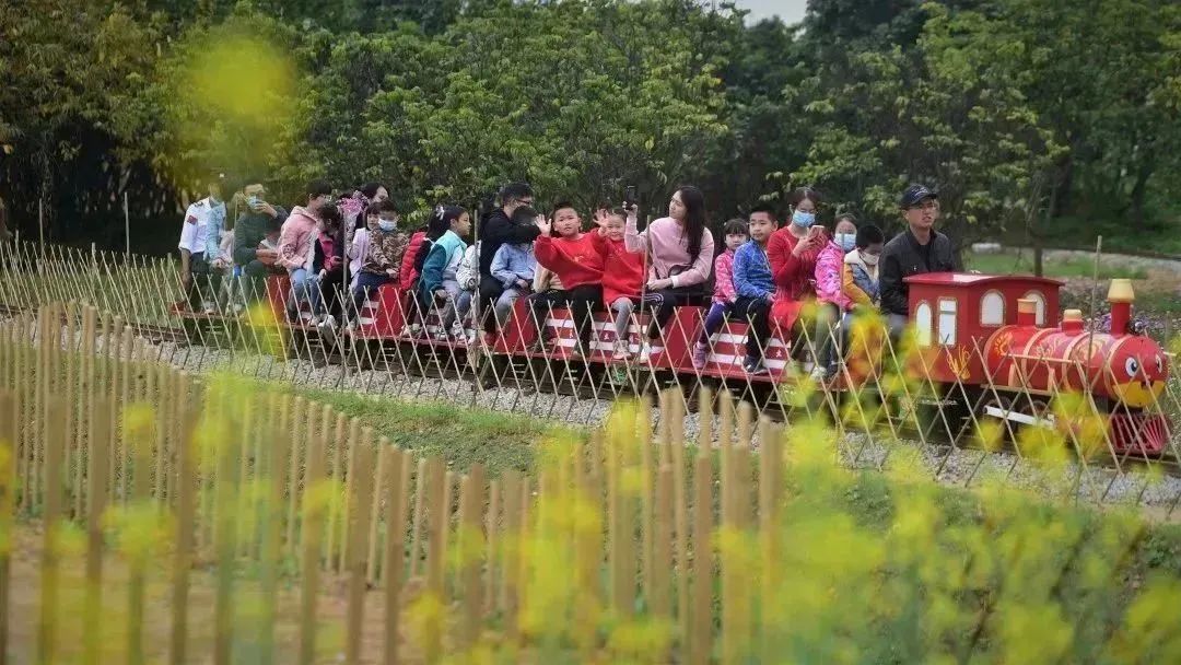 11.jpg 11.jpg