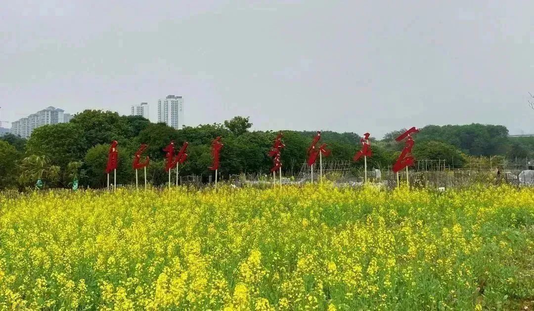 10.jpg 10.jpg