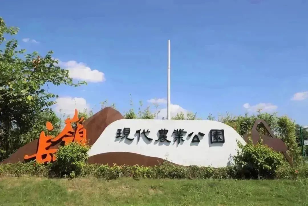 4.jpg 4.jpg