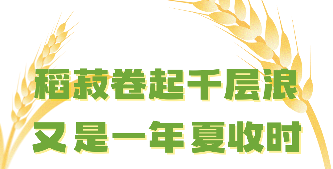 2.png 2.png