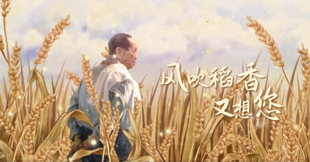 15.png 15.png