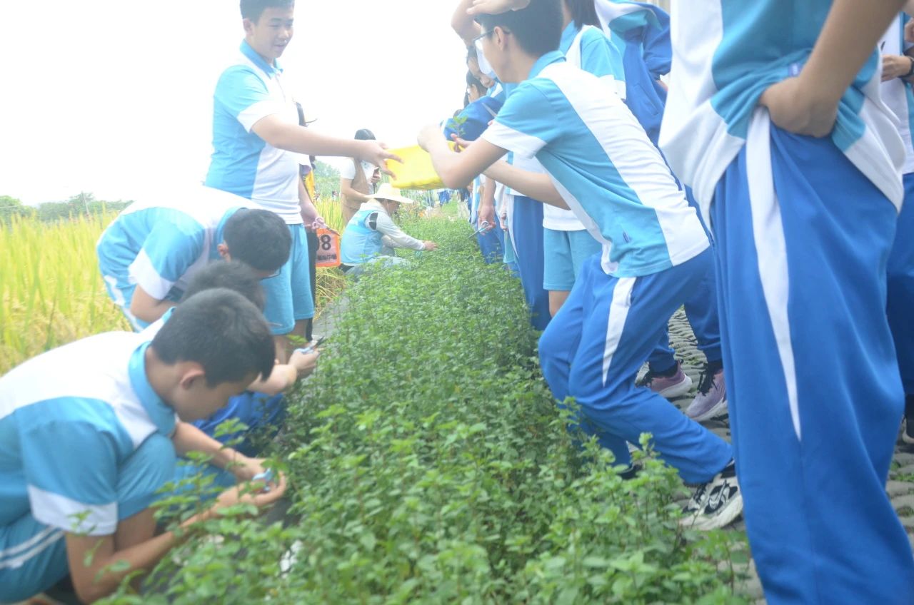 13.jpg 13.jpg
