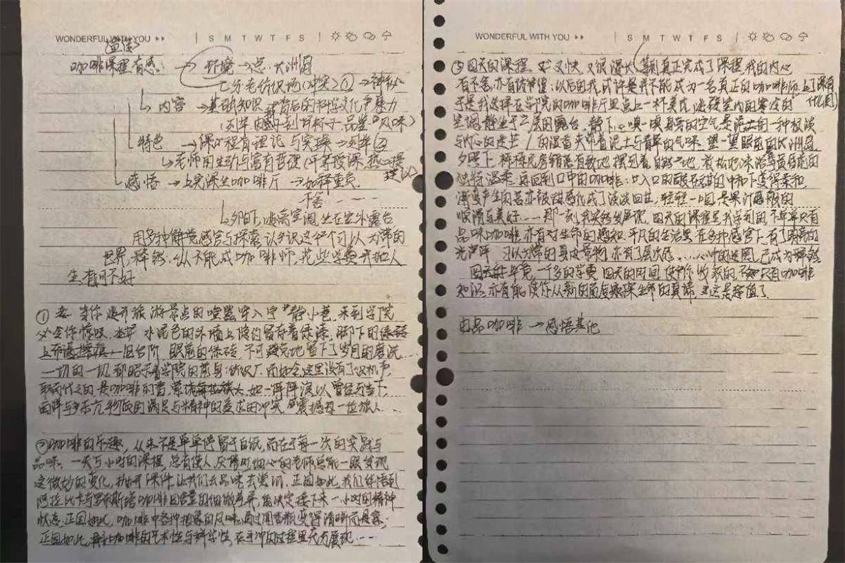 20.jpg 20.jpg